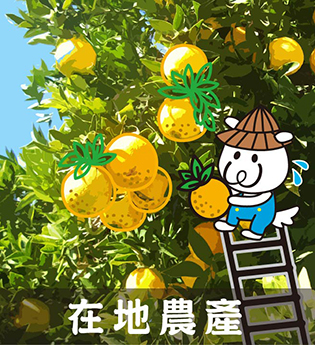 在地農產