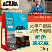 【ACANA愛肯拿 太平洋饗宴】挑嘴犬無穀 鮭魚薰衣草
