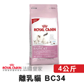 【法國皇家】BC34 離乳貓