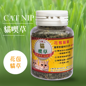 【CAT NIP貓喫草】-花苞貓草
